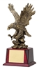 Pershing<BR> Gold Eagle Trophy<BR> 17 Inches