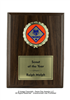 Magic Plaque<BR> Cub Scouts<BR> 5x7 to 7x9 Inches