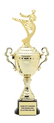 Monaco Gold Cup<BR> Male Motion Karate Trophy<BR> 13.5-17 Inches