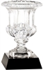 The Birmingham<BR> Crystal Trophy Cup<BR> 12 Inches