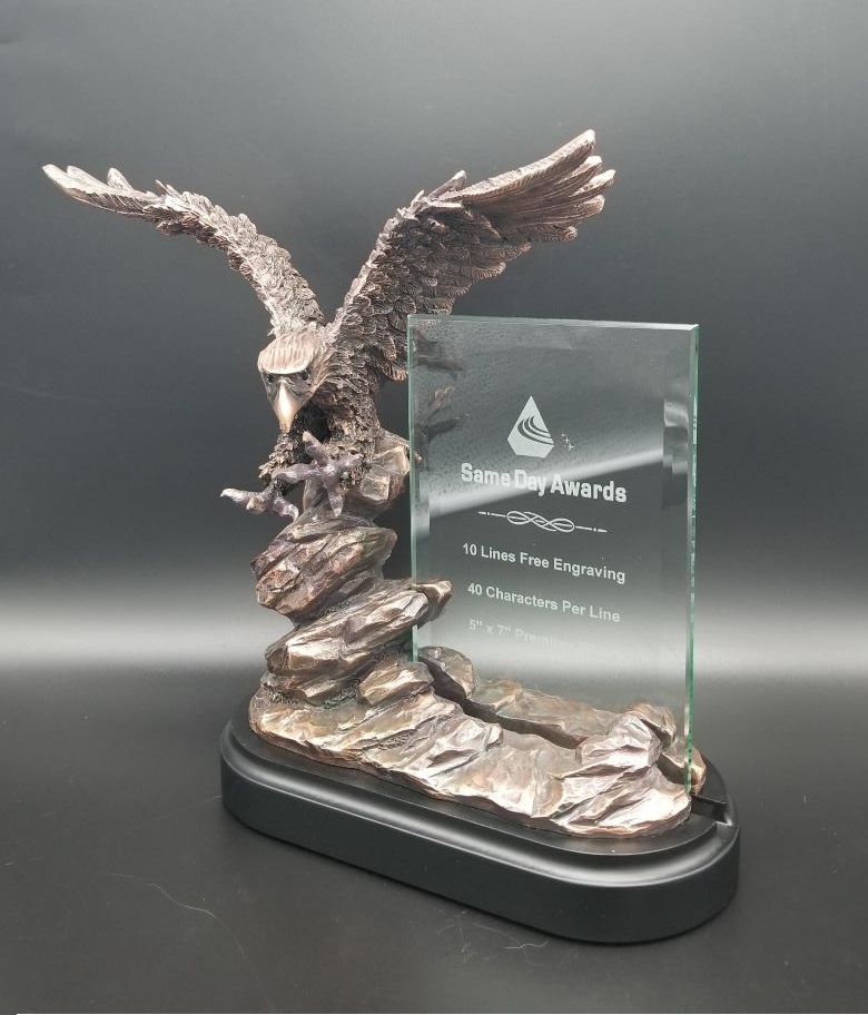 Same Day Awards Majestic Bronze Premium Eagle Trophy (14インチ)  -Personalize/Customize w/Engraving